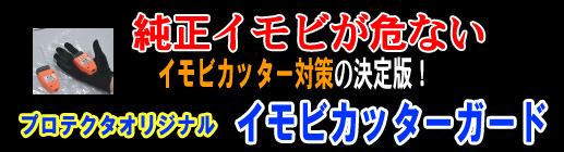 �C���r�J�b�^�[�K�[�h